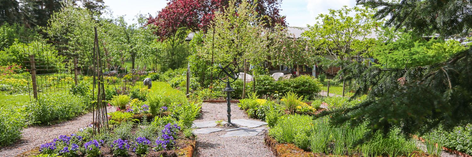 المظهر الخارجي