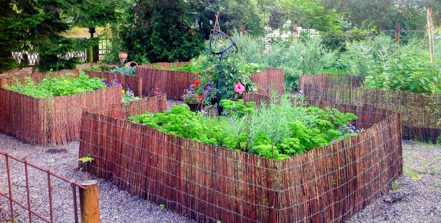 المظهر الخارجي