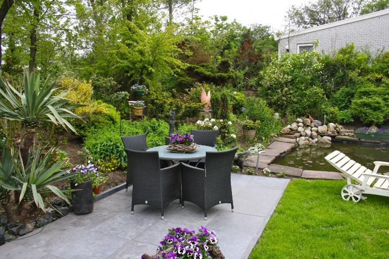 المظهر الخارجي