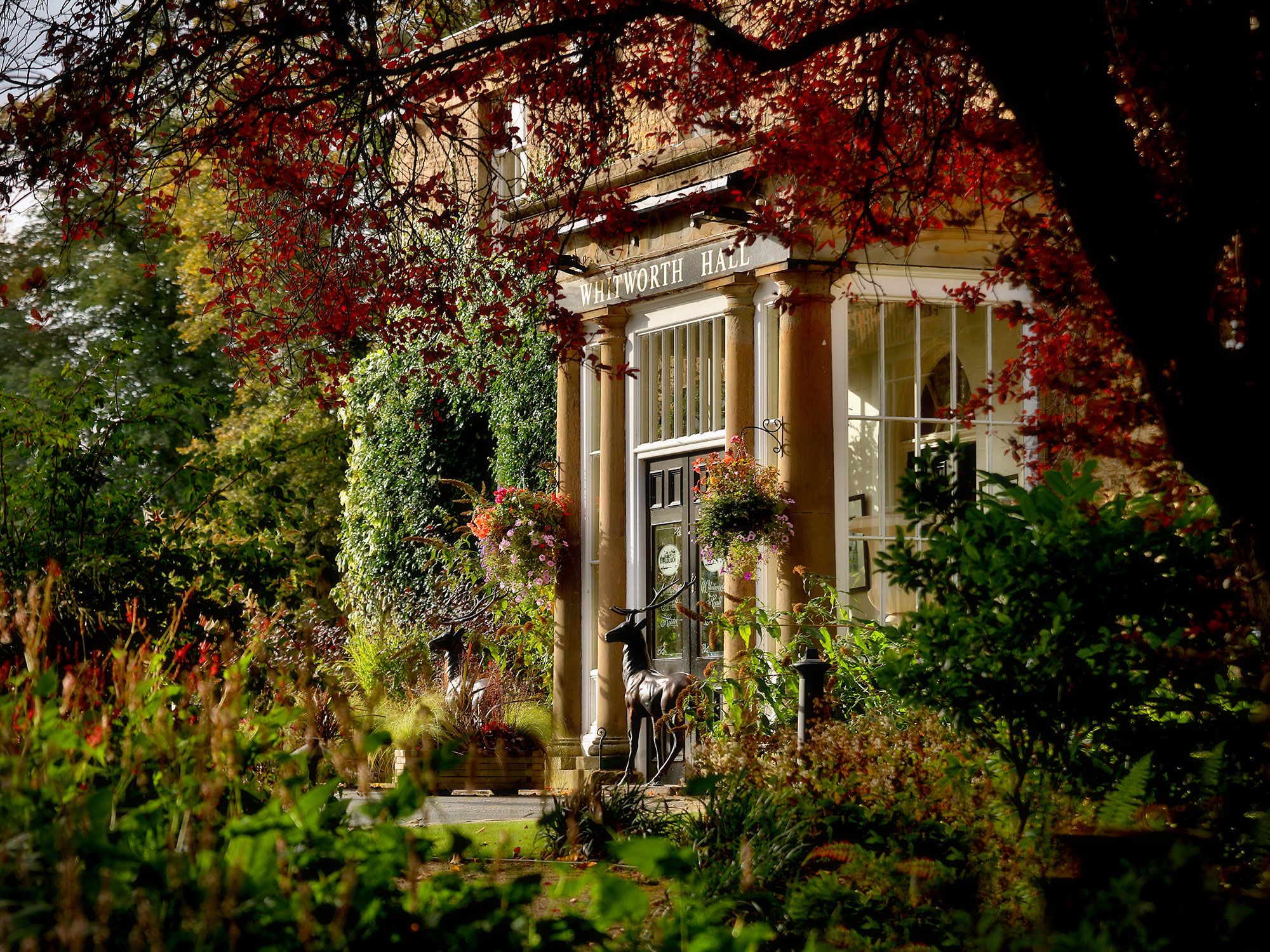 المظهر الخارجي