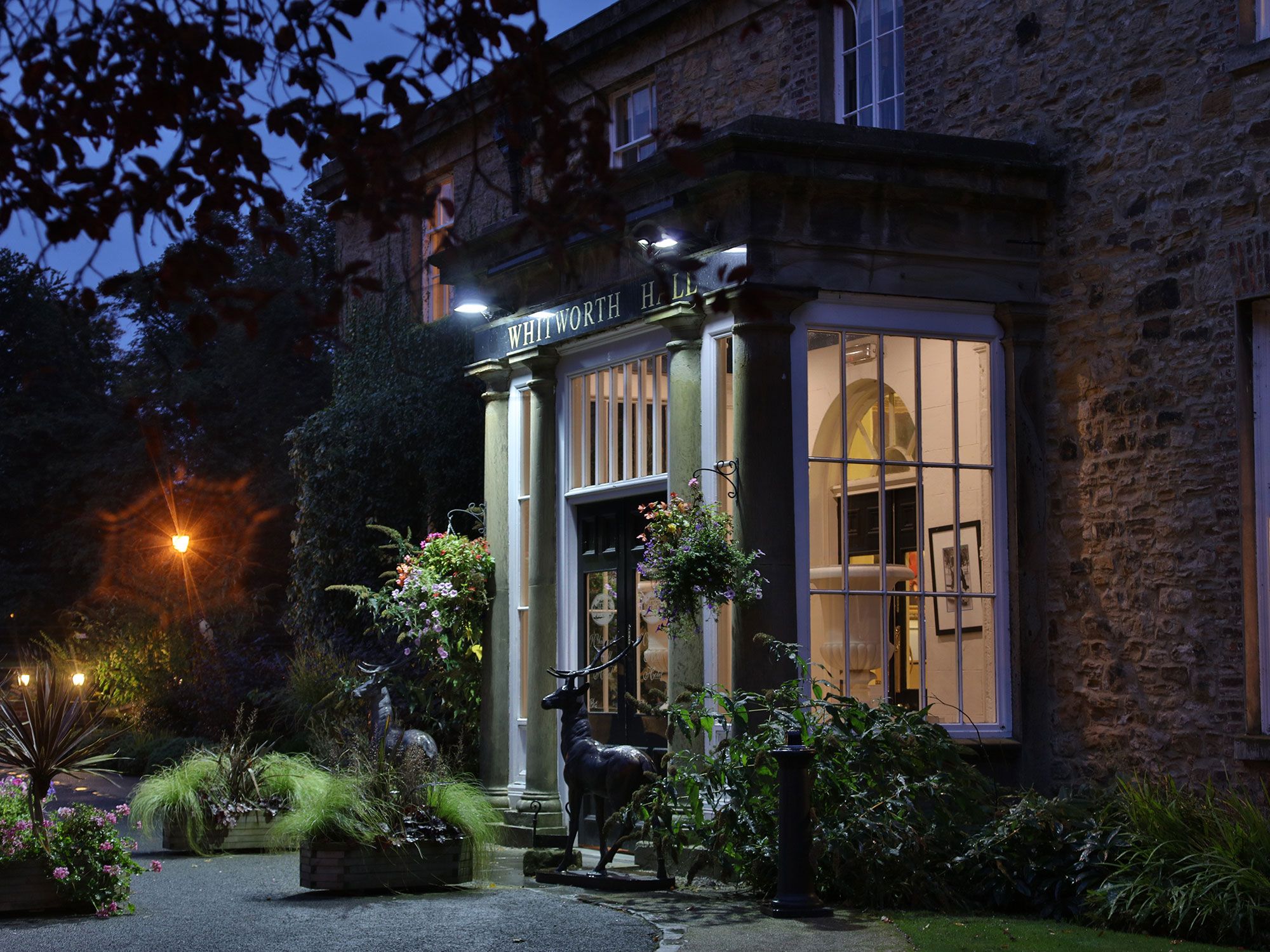 المظهر الخارجي