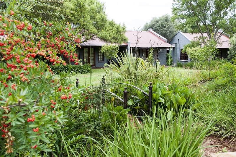 المظهر الخارجي