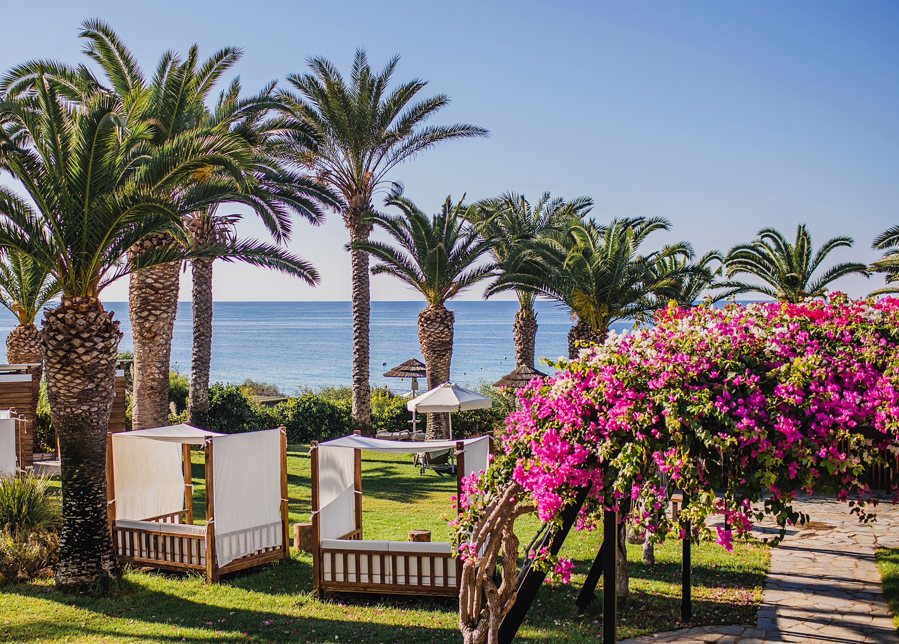 المظهر الخارجي