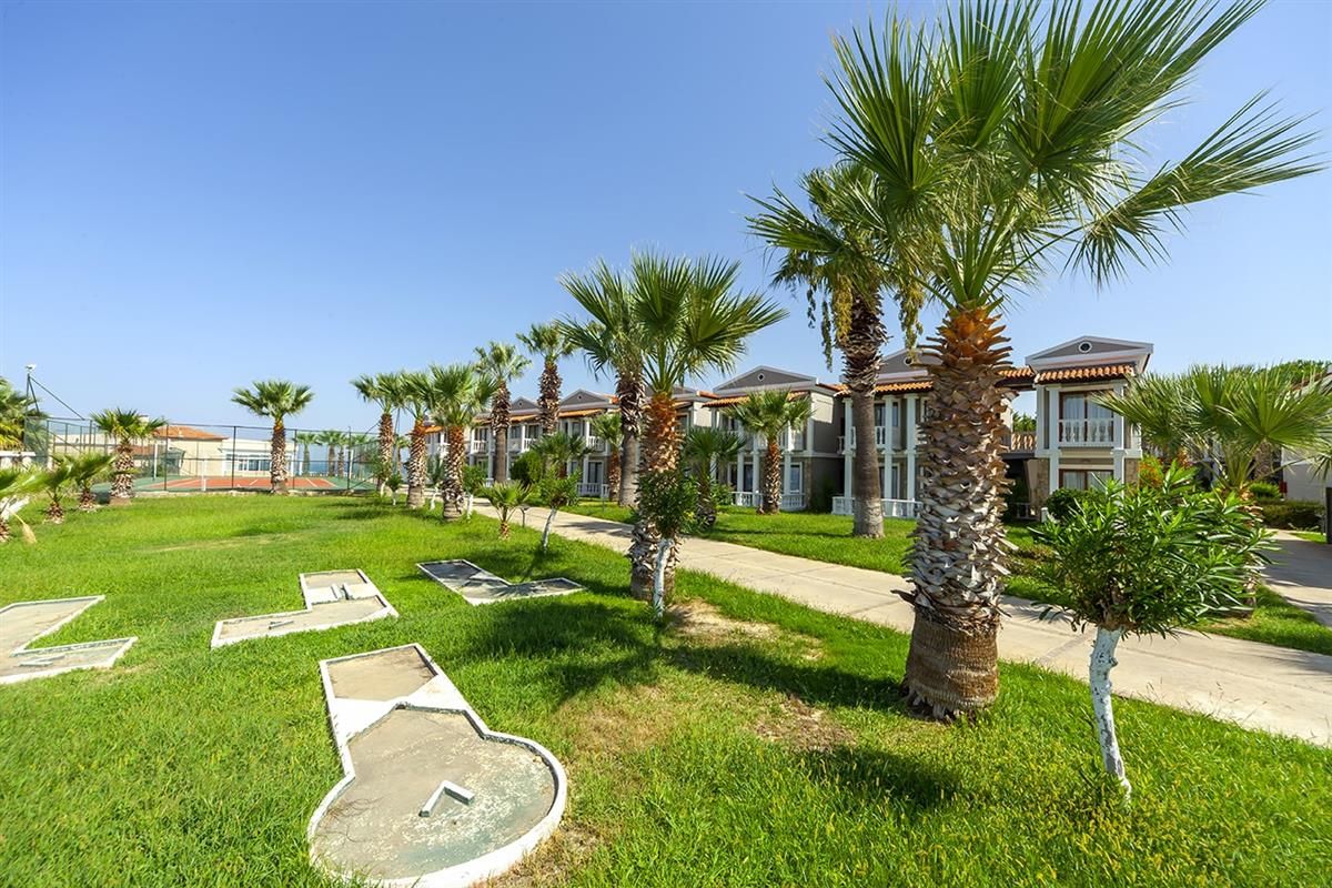 المظهر الخارجي