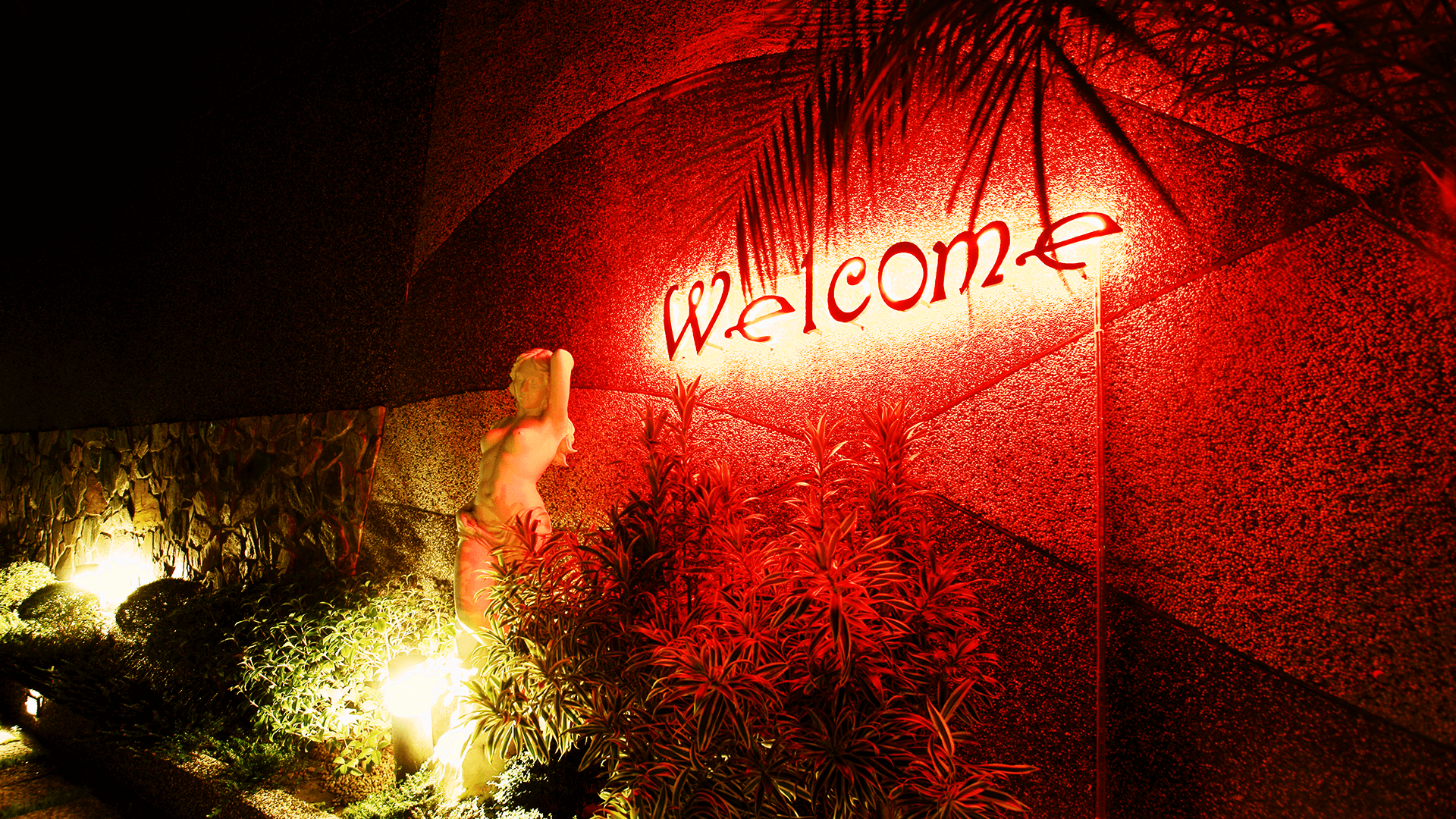 المظهر الخارجي