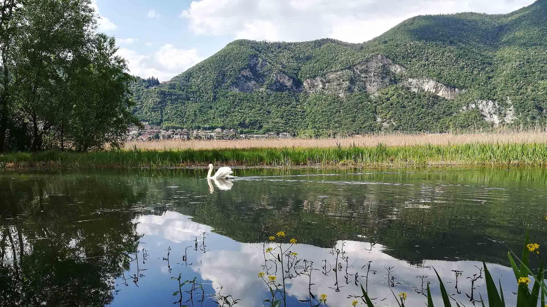 المظهر الخارجي
