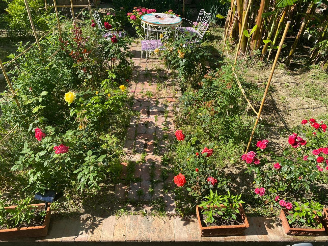 المظهر الخارجي