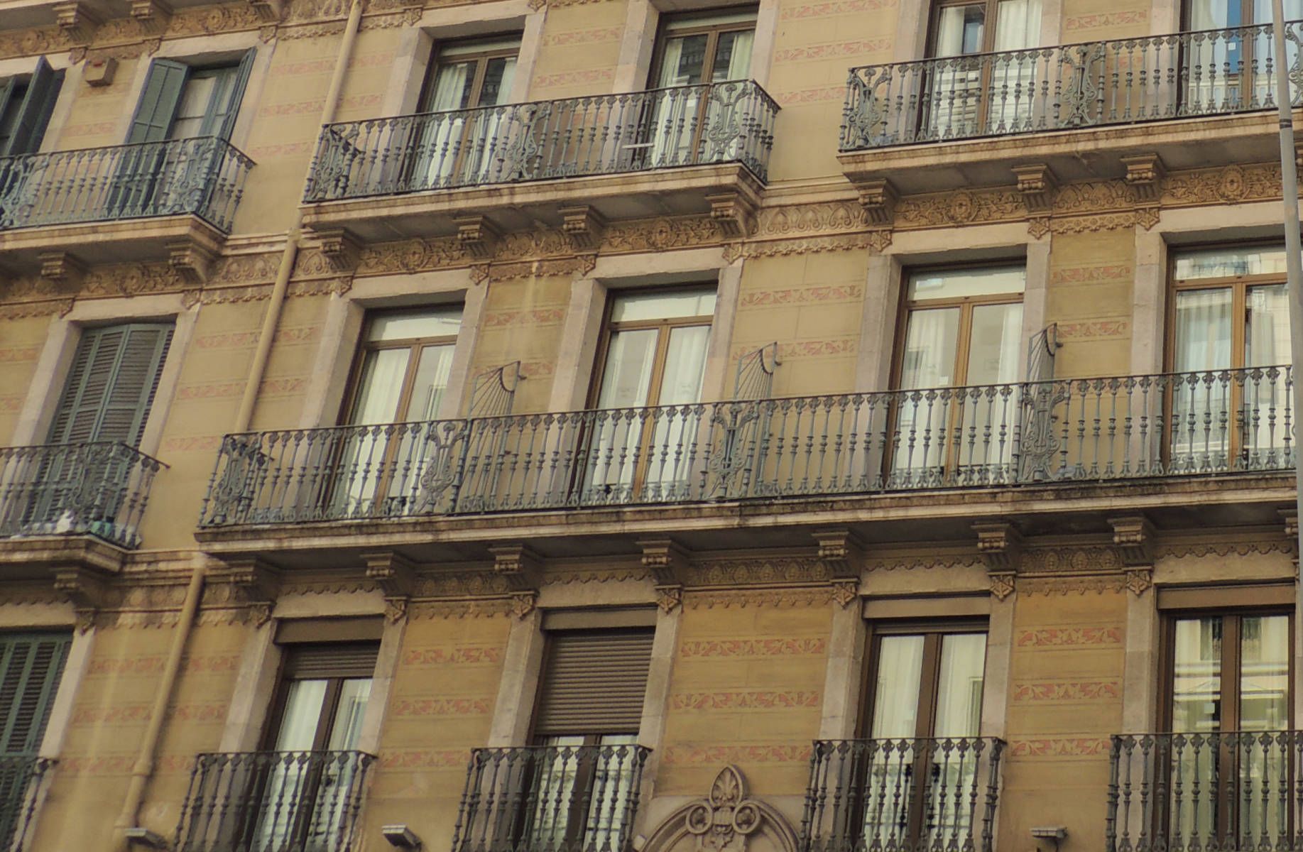 المظهر الخارجي