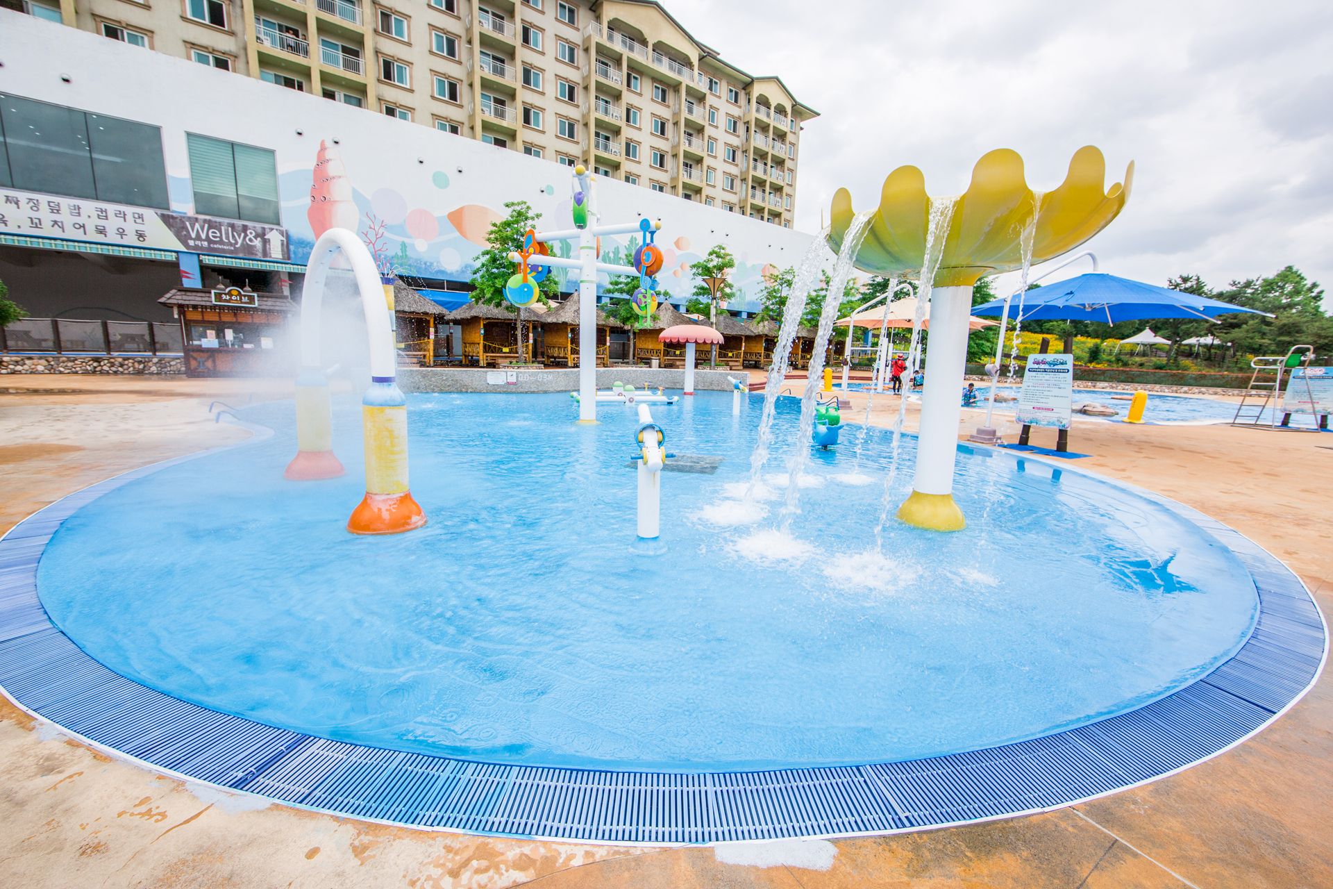 حوض السباحة