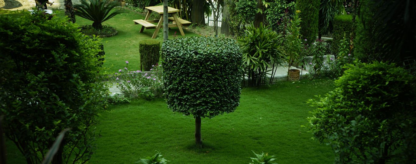 المظهر الخارجي