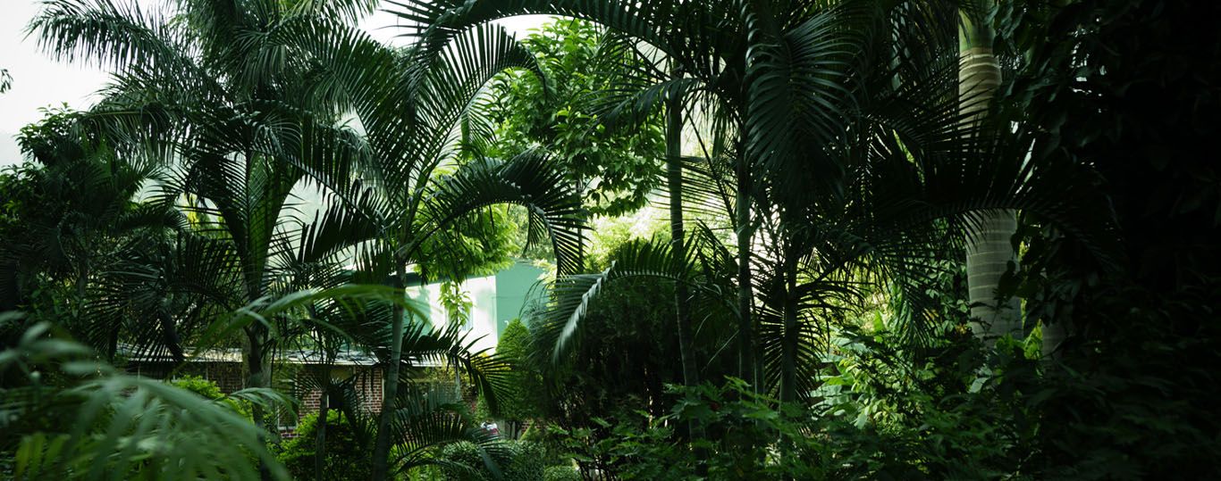 المظهر الخارجي