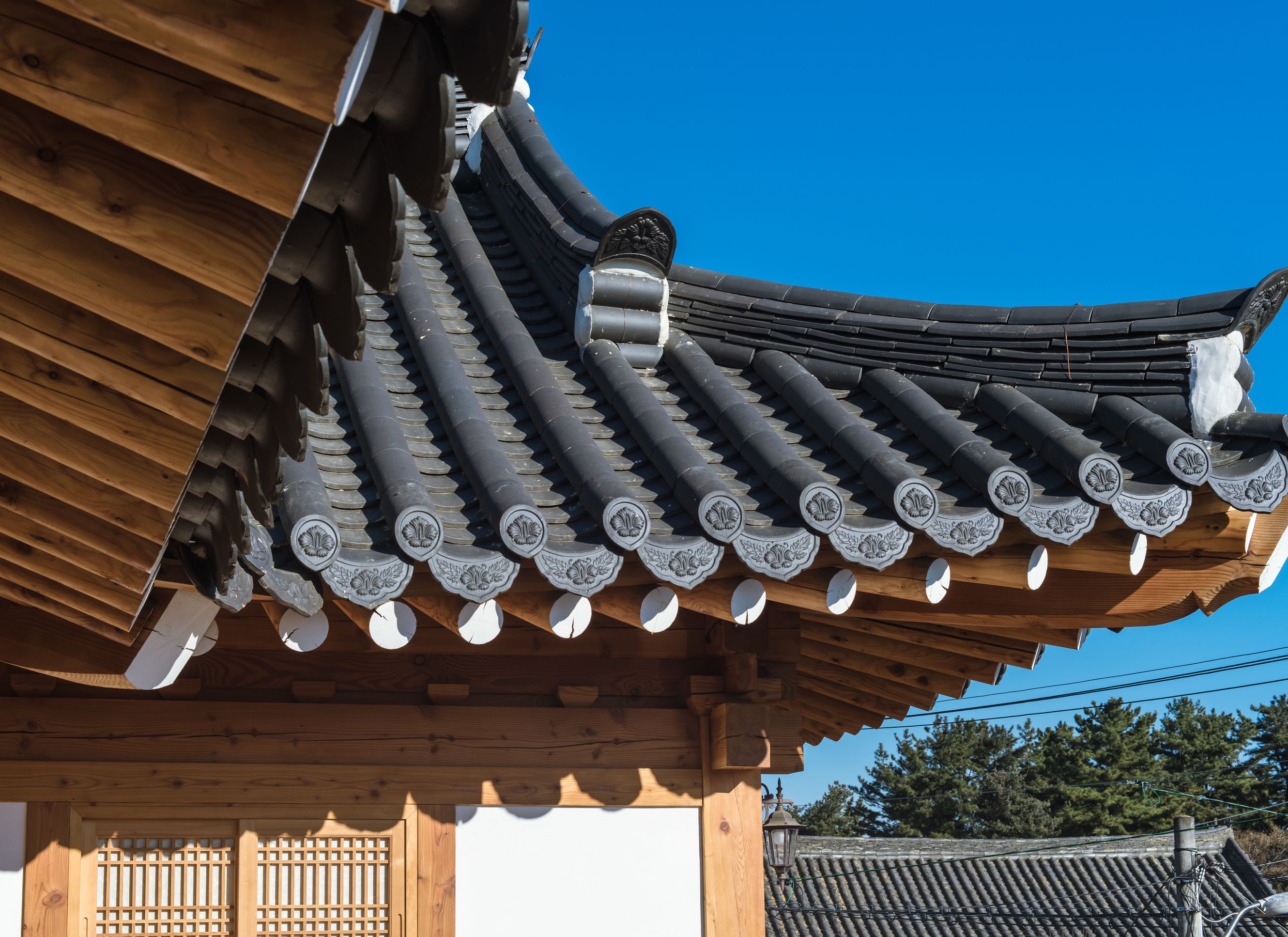 المظهر الخارجي