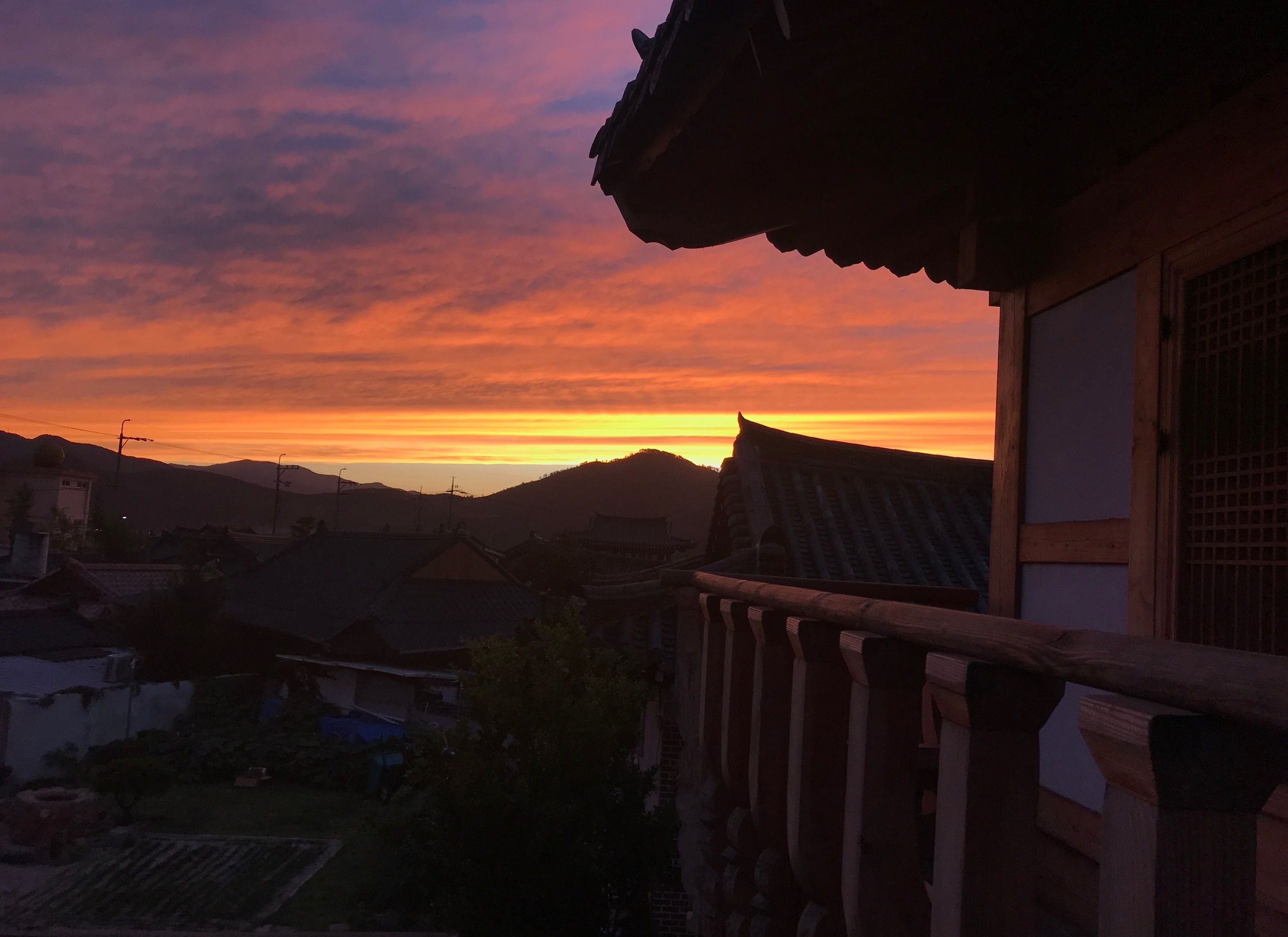 المظهر الخارجي