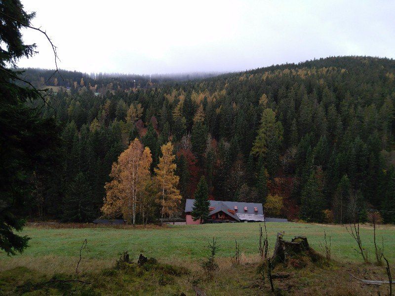 المظهر الخارجي