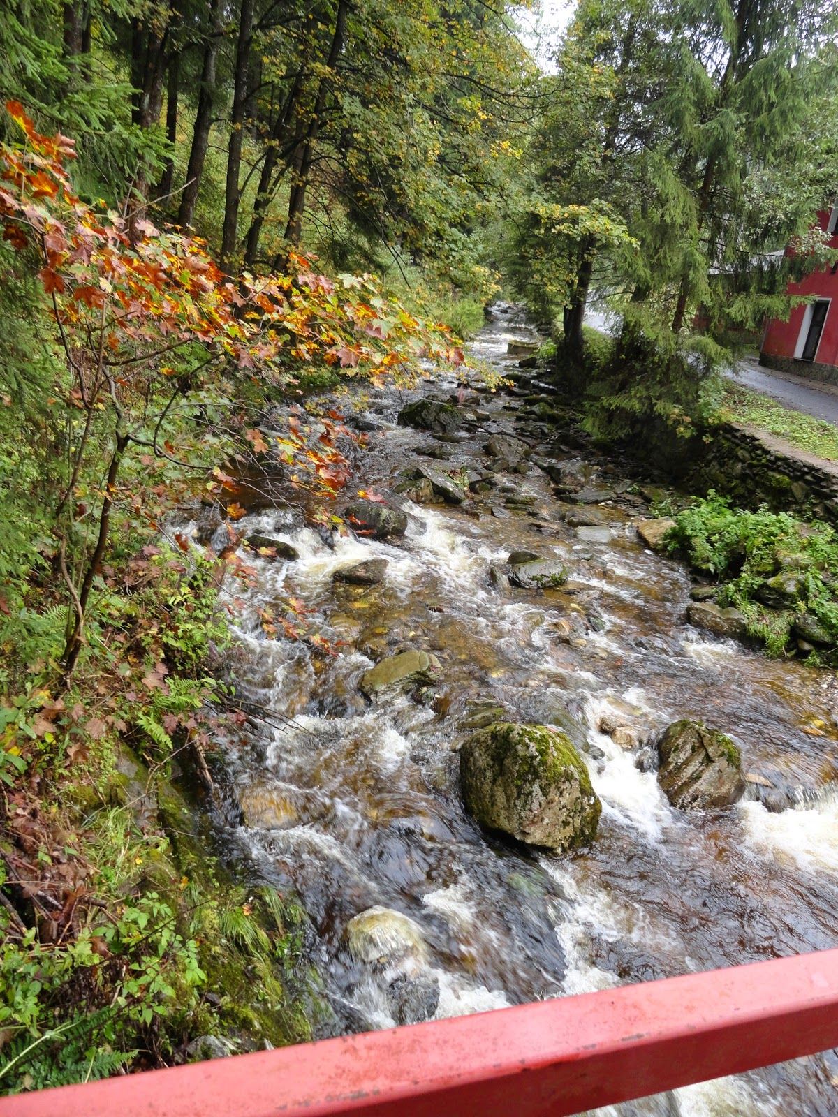 المظهر الخارجي