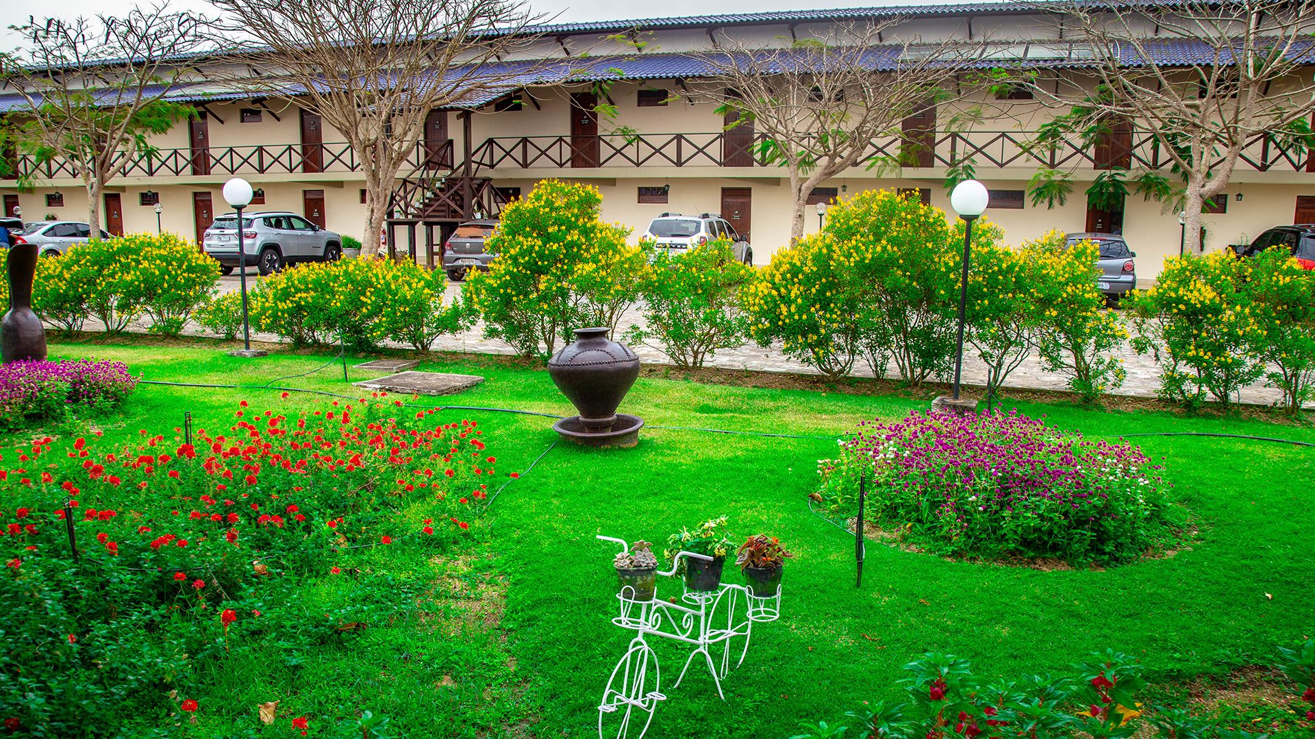 المظهر الخارجي