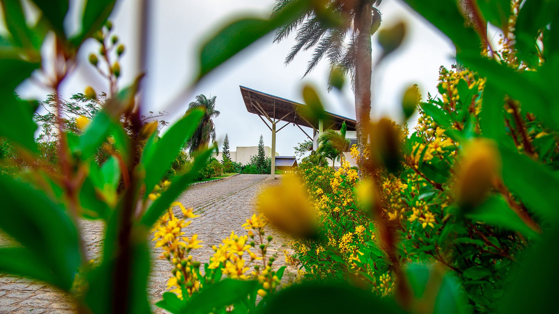 المظهر الخارجي