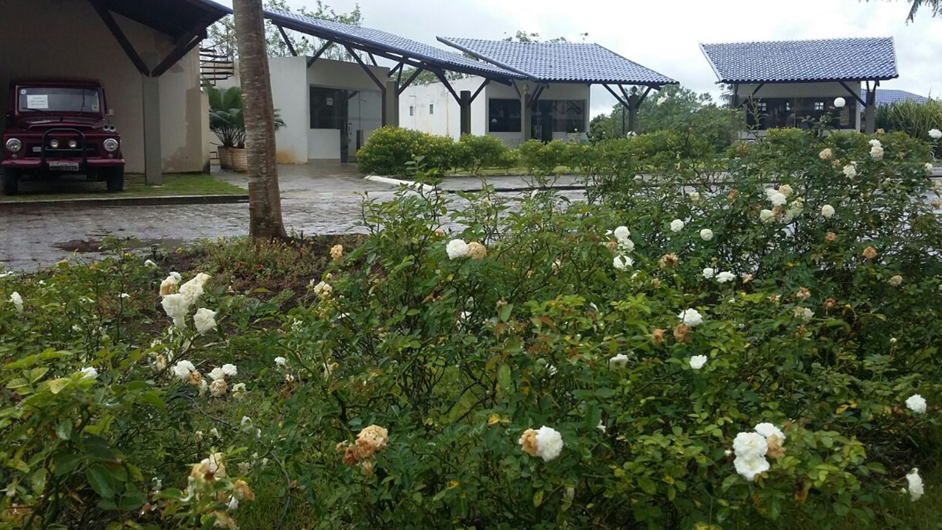 المظهر الخارجي