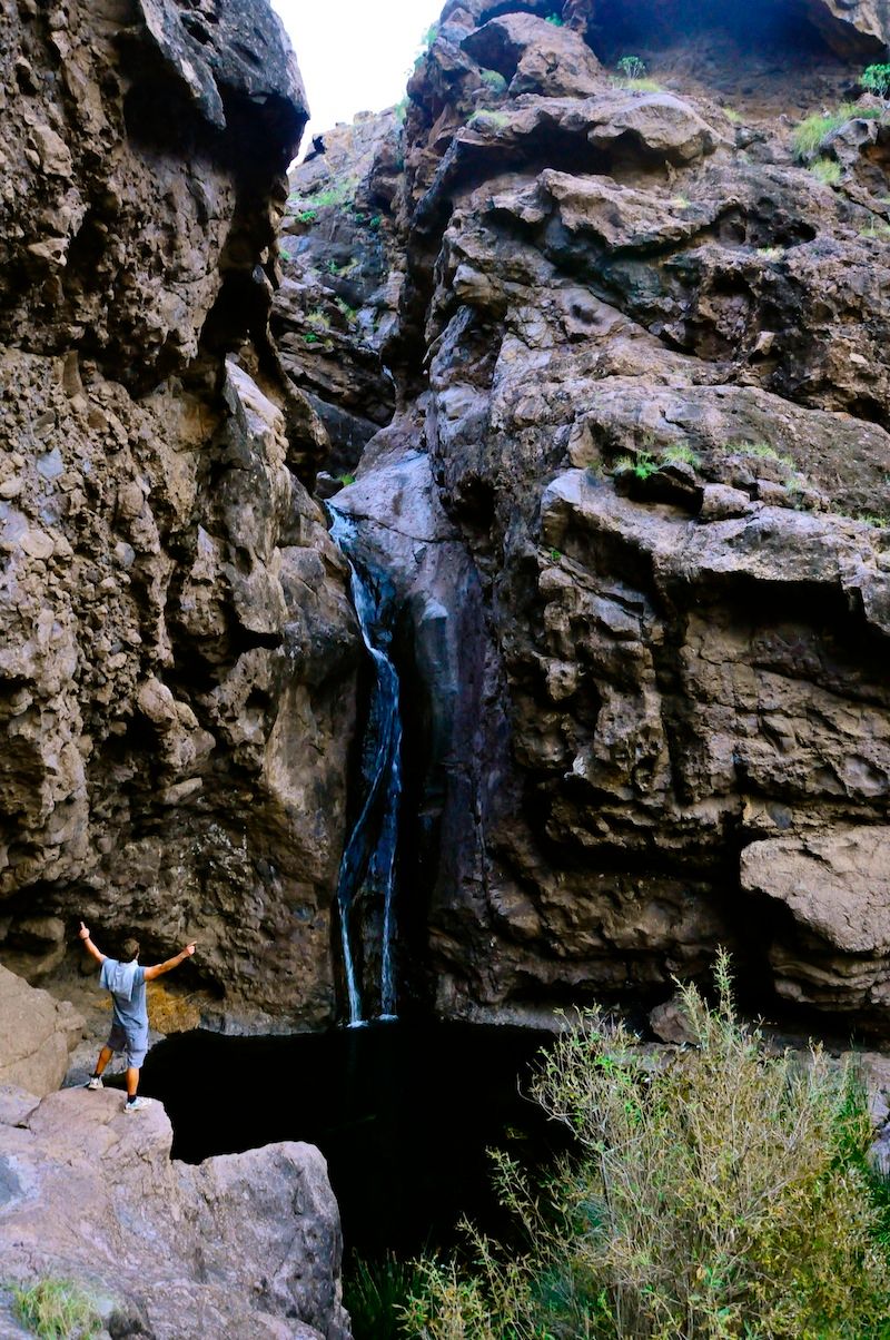 المظهر الخارجي