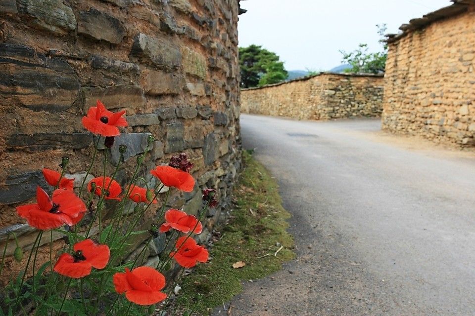 المظهر الخارجي
