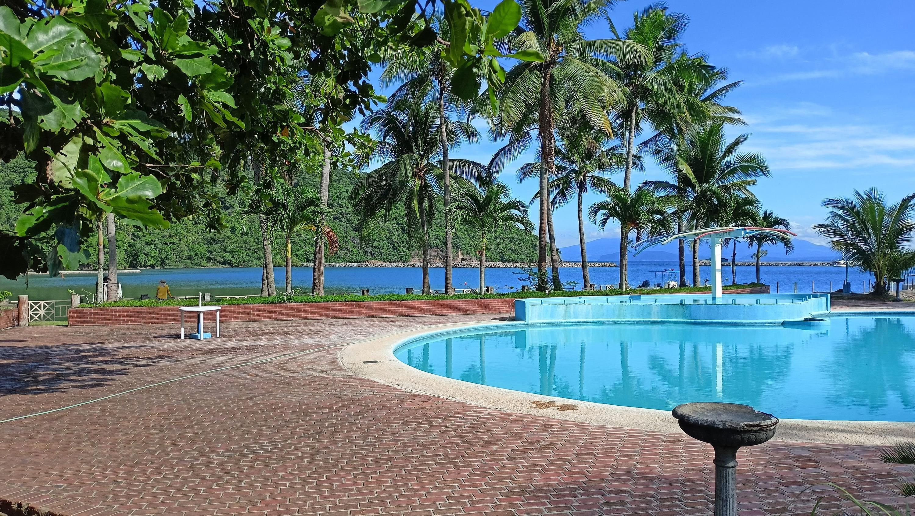 حوض السباحة صورة