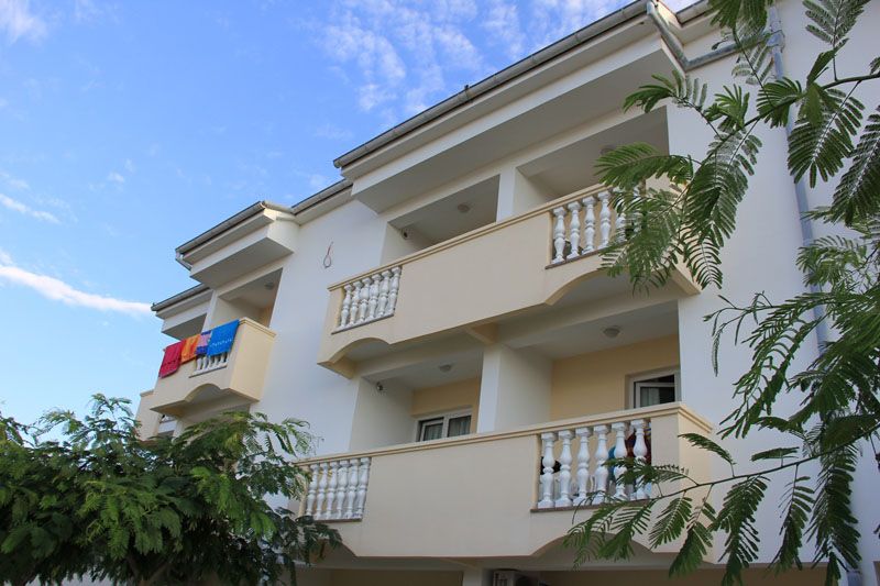 المظهر الخارجي