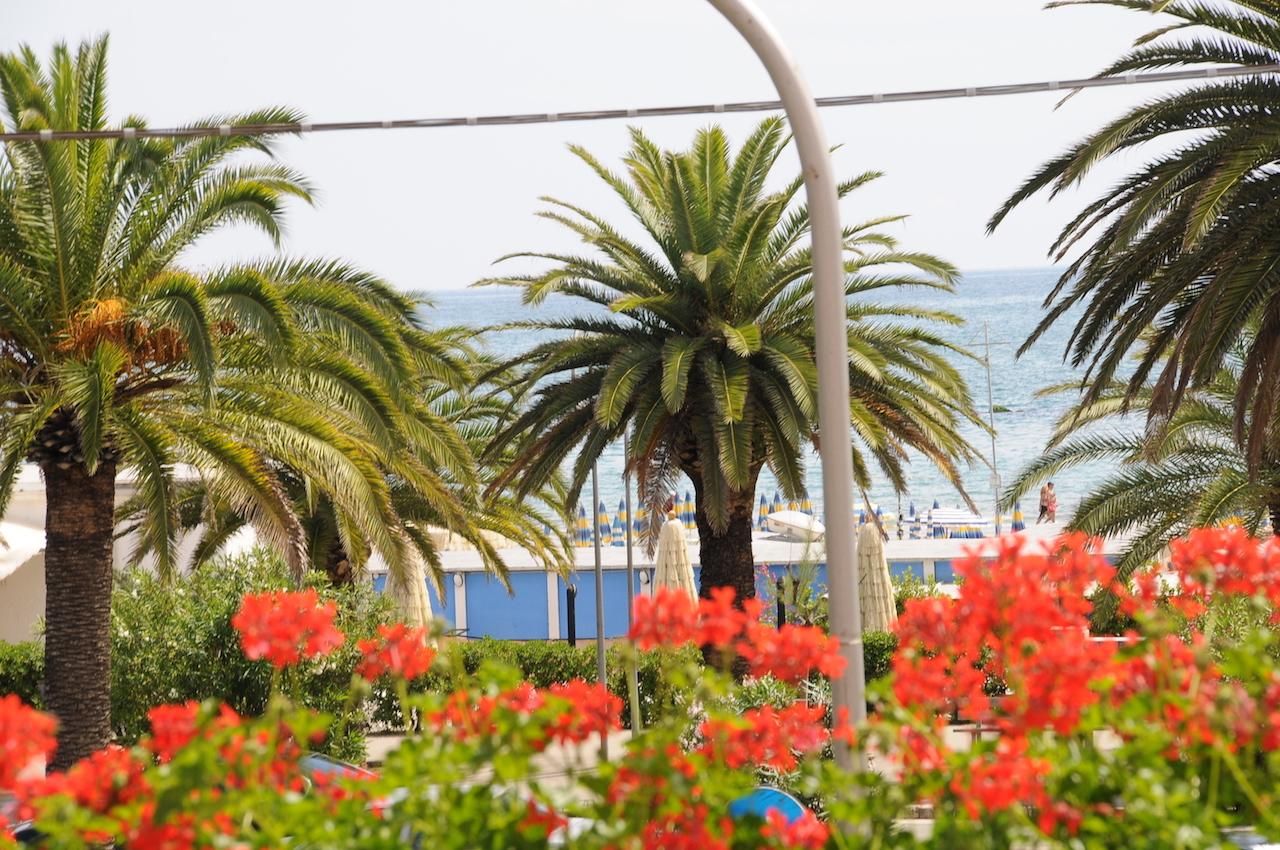 المظهر الخارجي