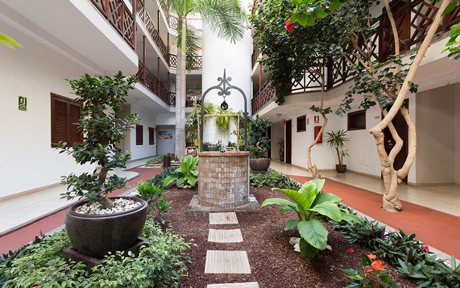 المظهر الخارجي