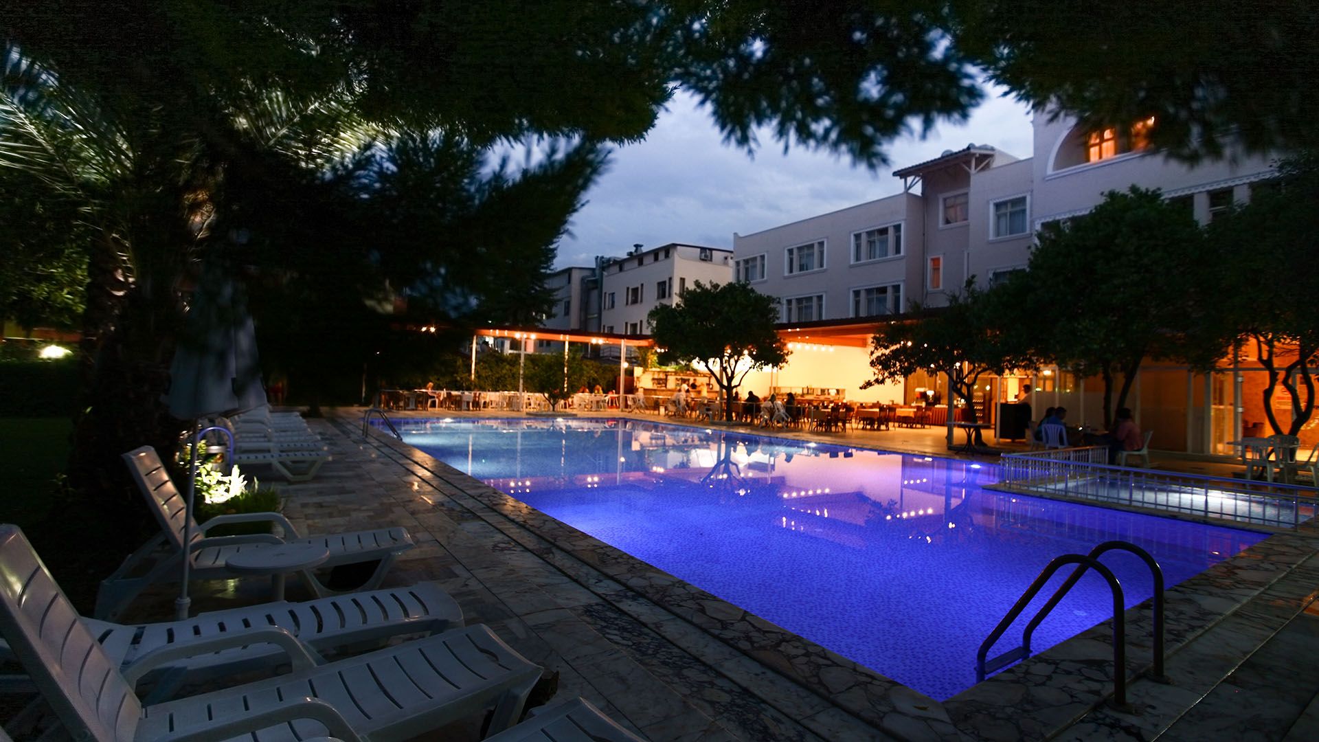 حوض السباحة