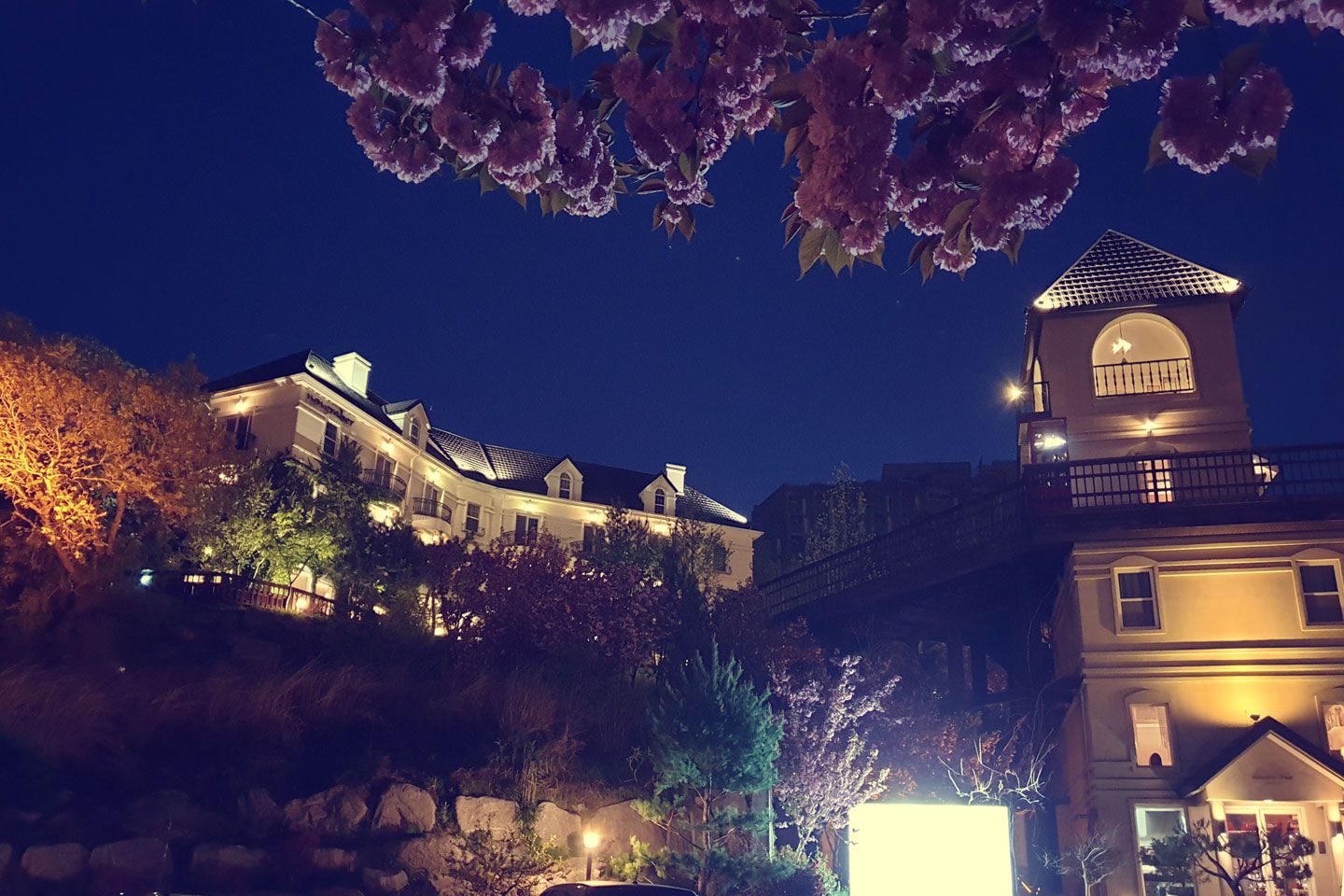 المظهر الخارجي