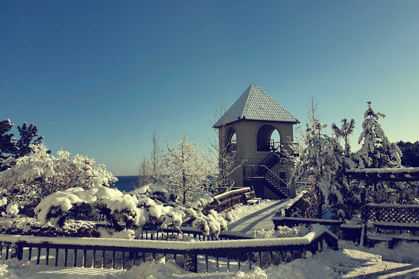 المظهر الخارجي