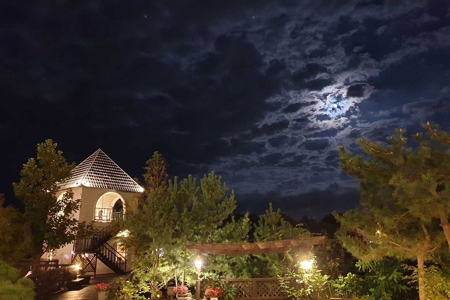 المظهر الخارجي