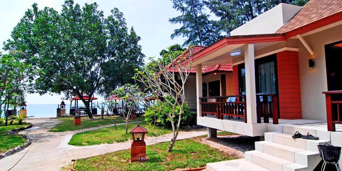 المظهر الخارجي