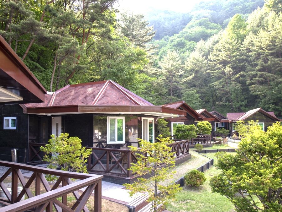 المظهر الخارجي