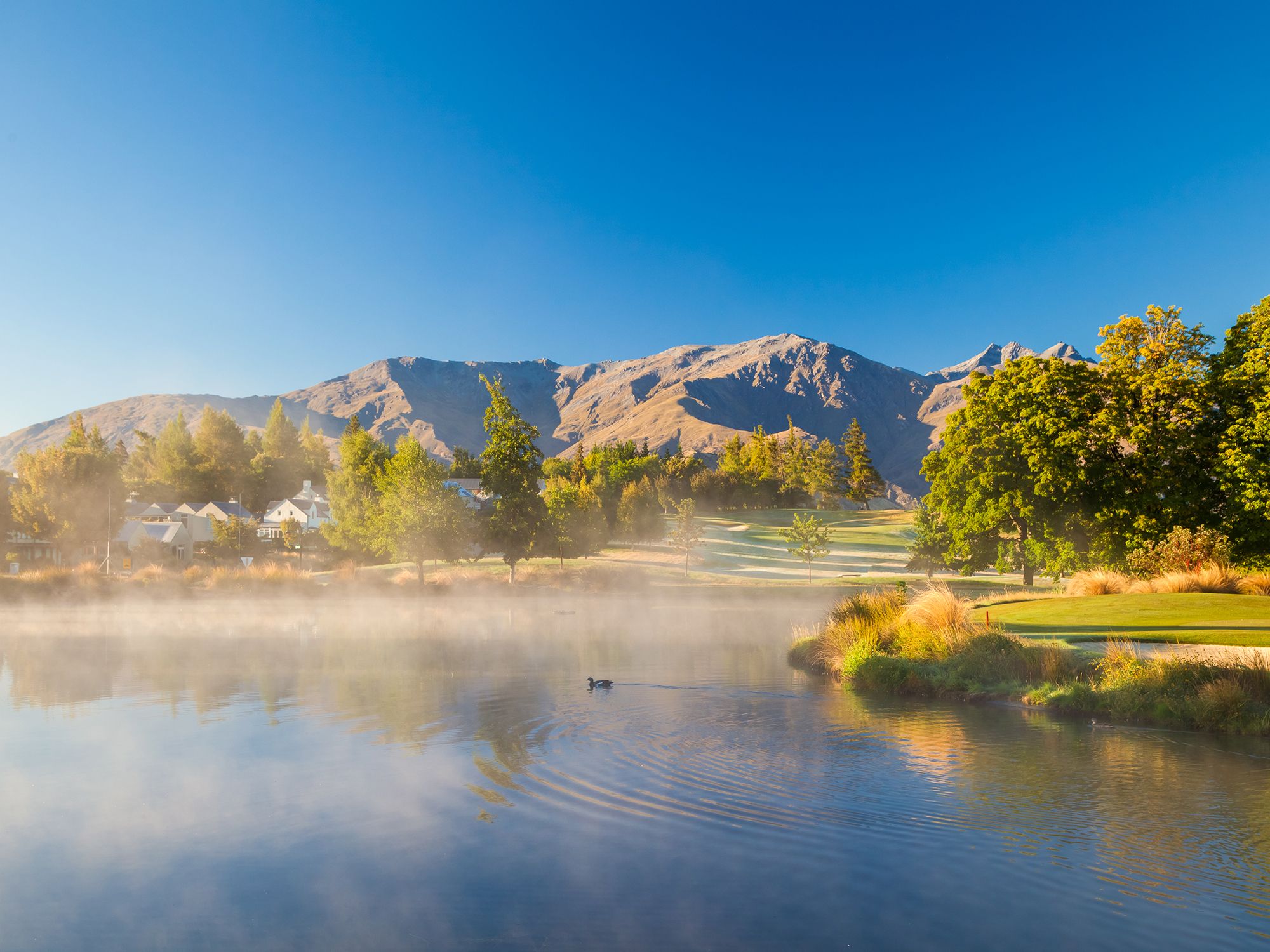 المظهر الخارجي