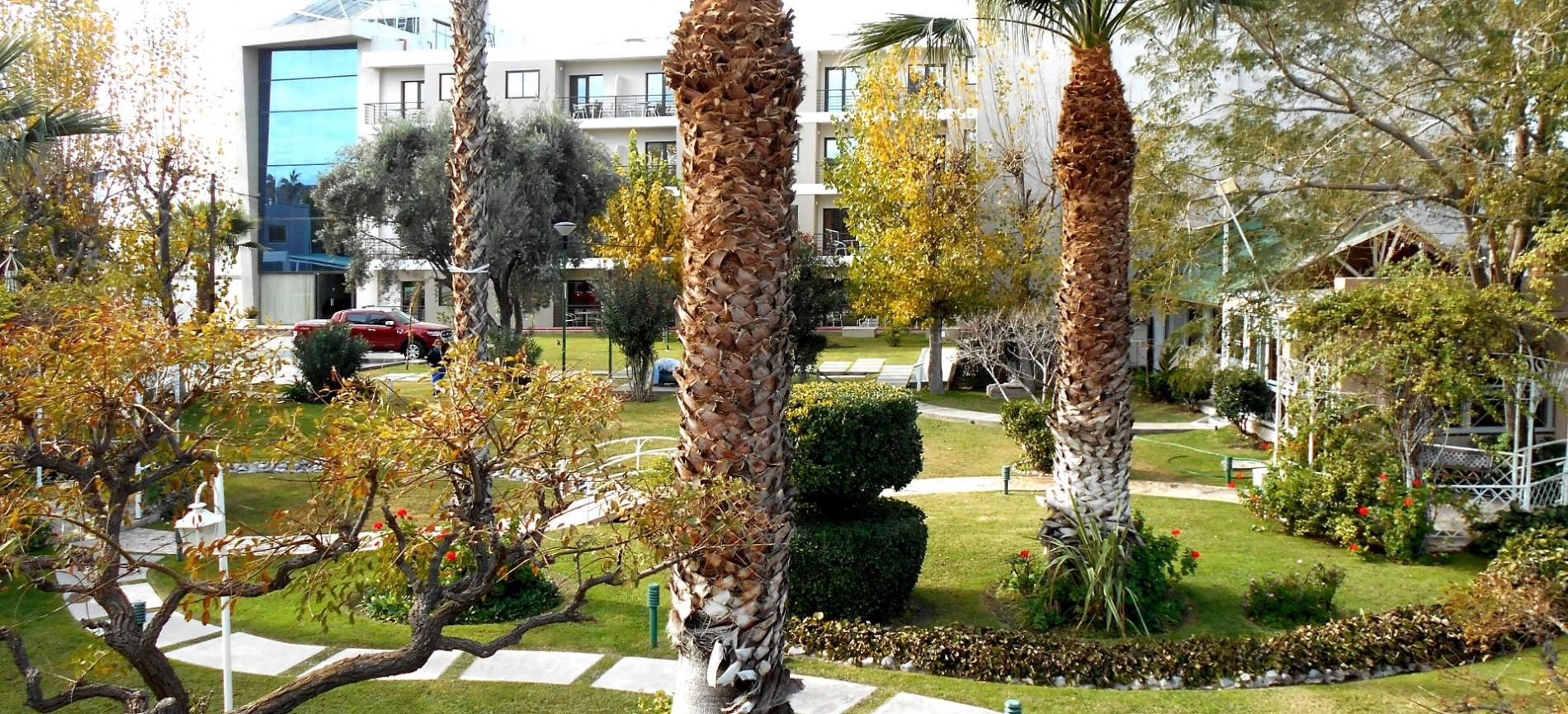 المظهر الخارجي