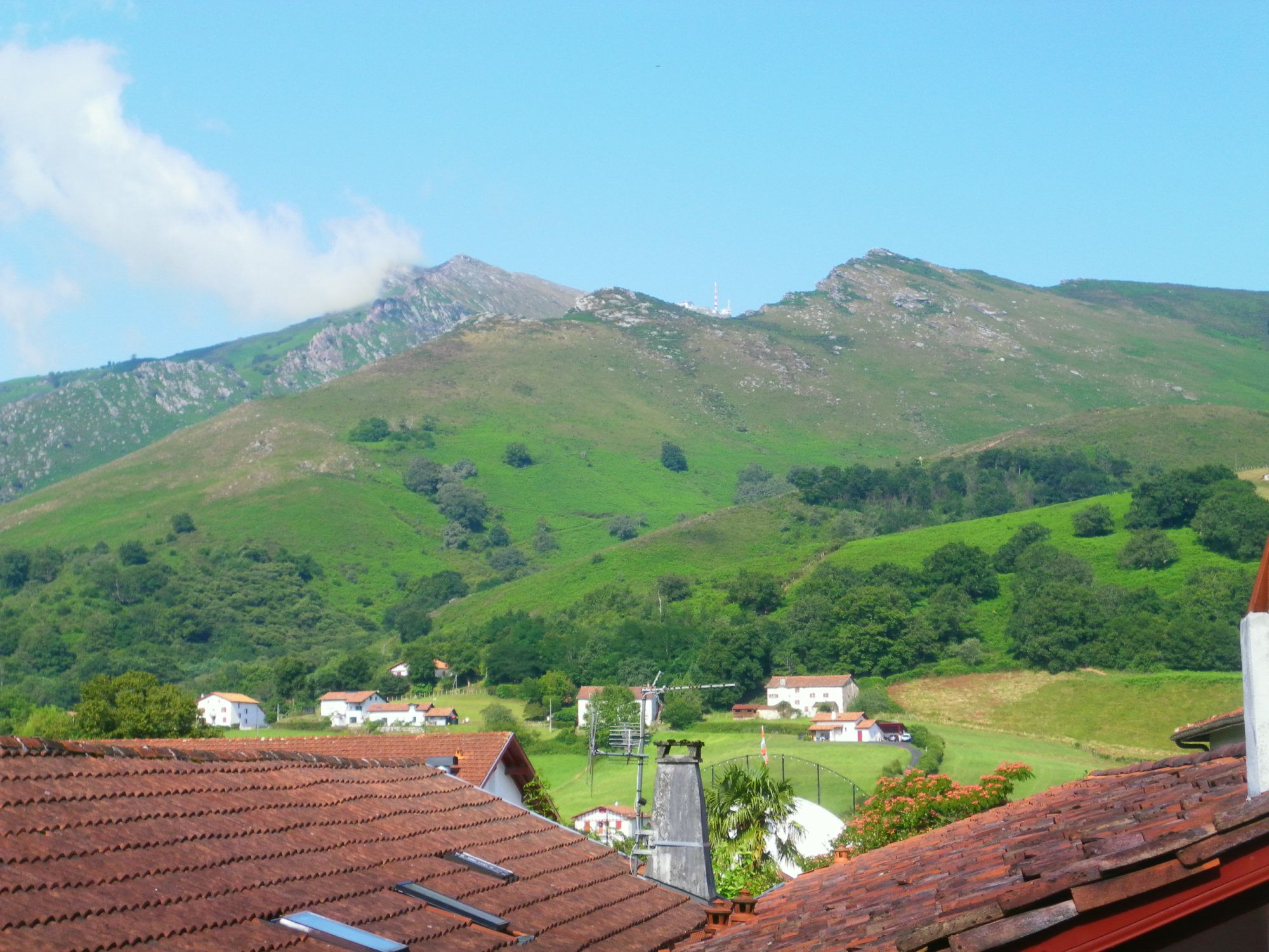 المظهر الخارجي