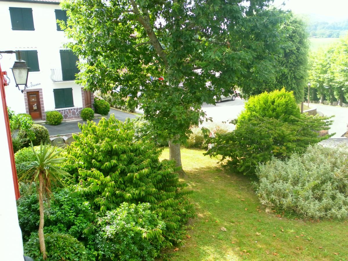 المظهر الخارجي