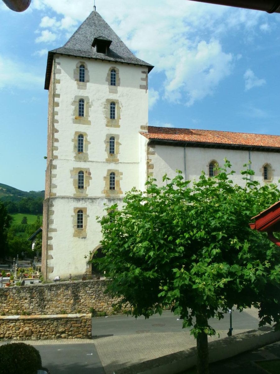 المظهر الخارجي