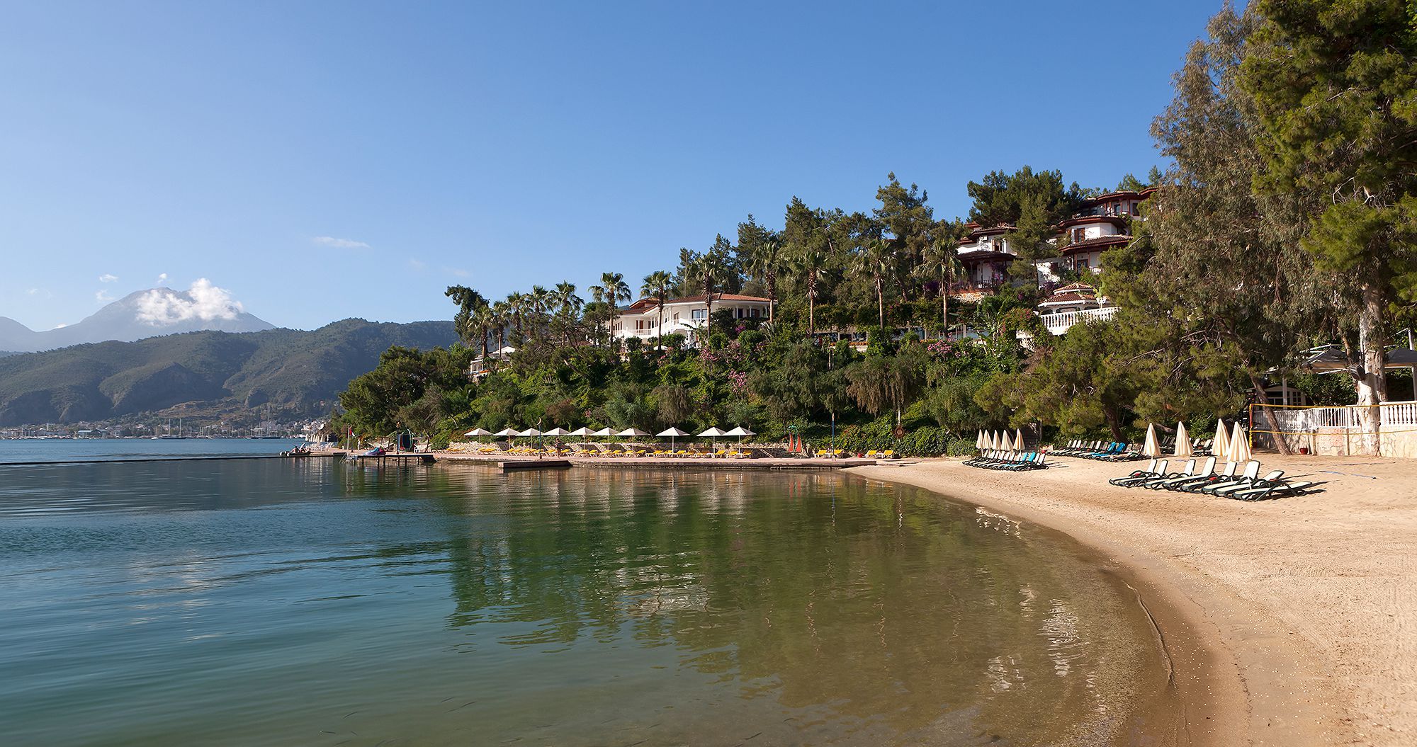 المظهر الخارجي