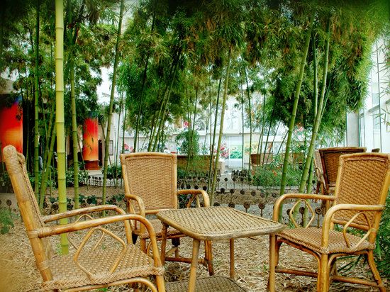 المظهر الخارجي