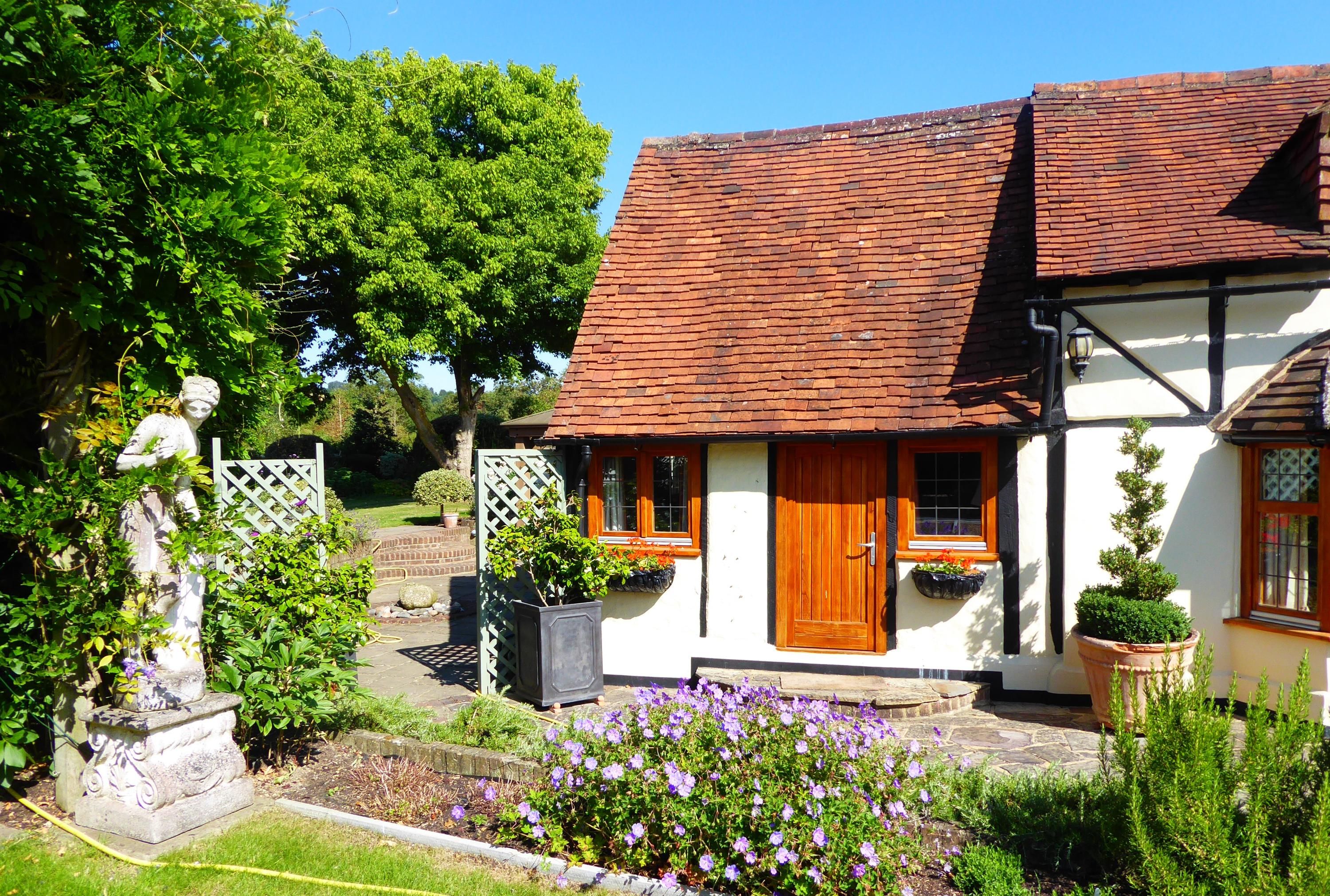 المظهر الخارجي