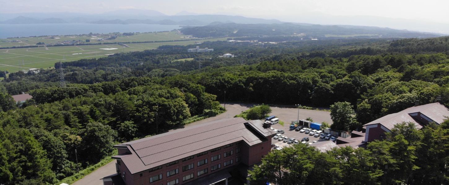 المظهر الخارجي