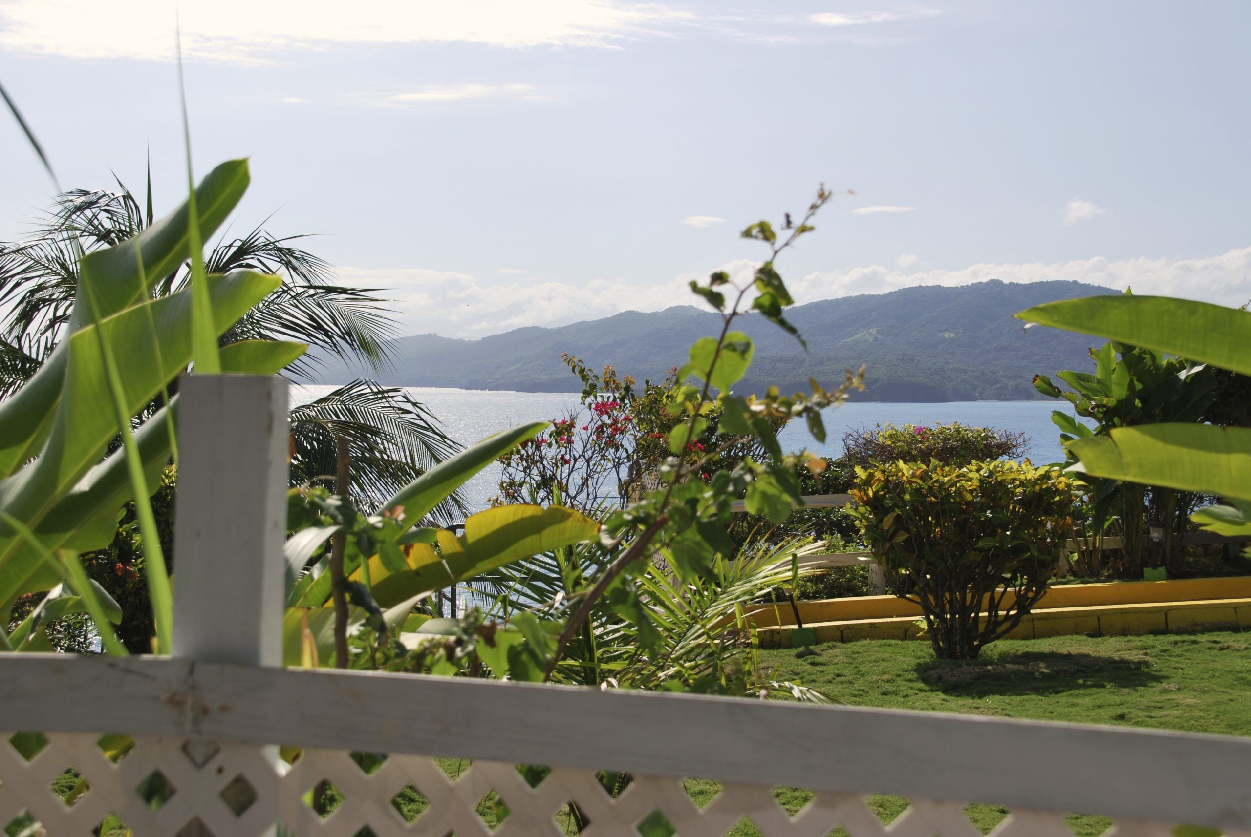 المظهر الخارجي