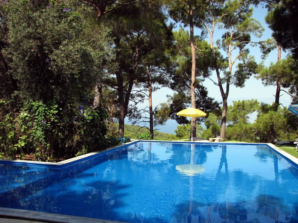 حوض السباحة