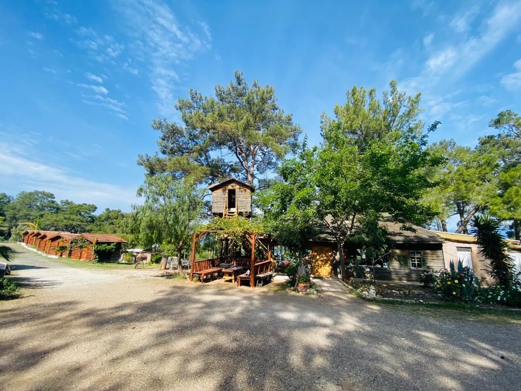 المظهر الخارجي