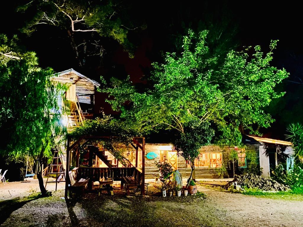 المظهر الخارجي