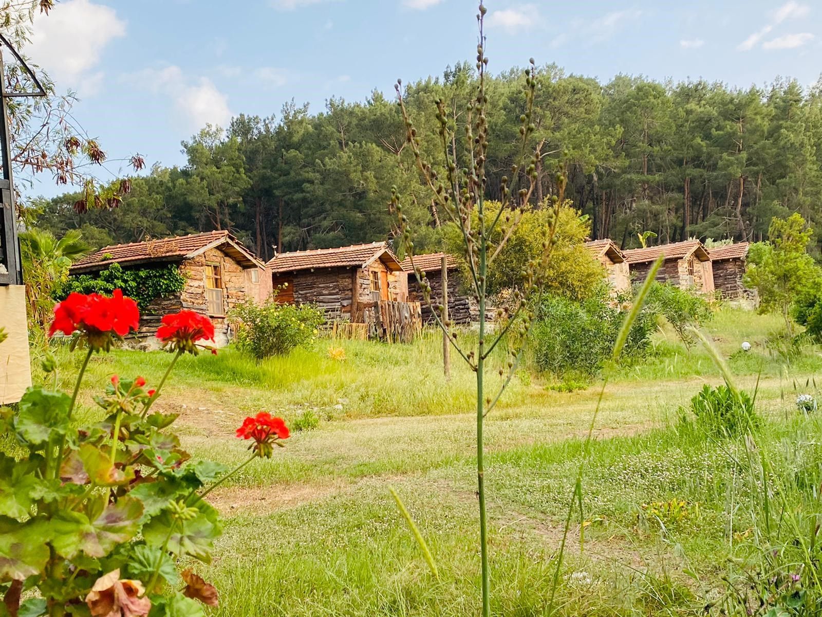 المظهر الخارجي