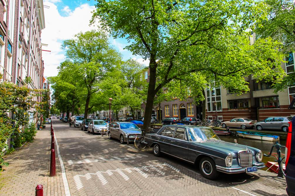 المظهر الخارجي