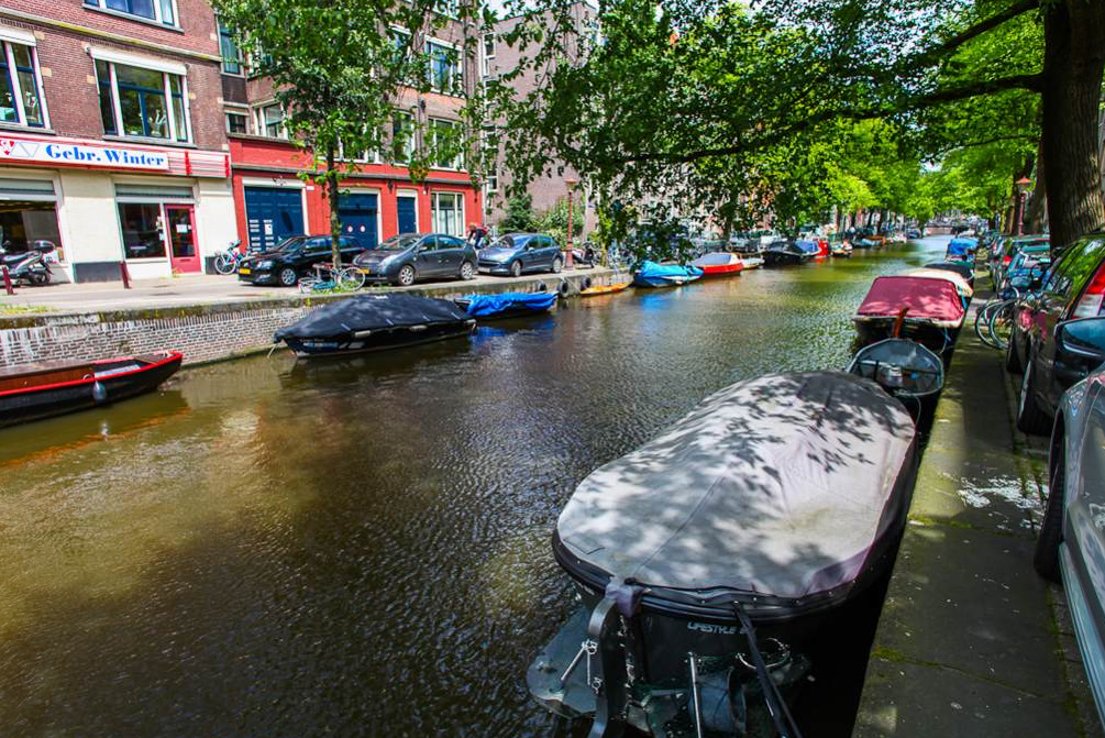 المظهر الخارجي